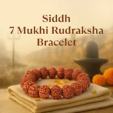 Kashi Siddhi 7 Mukhi Rudraksha Bracelet