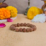 5 Mukhi Rudraksha Bracelet With White Crystals