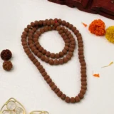 7 Mukhi Rudraksha Mala - 9-10mm , 108+1 beads